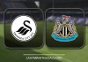 Swansea City vs Newcastle United Highlights VIDEO